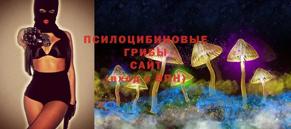 ешки Медногорск